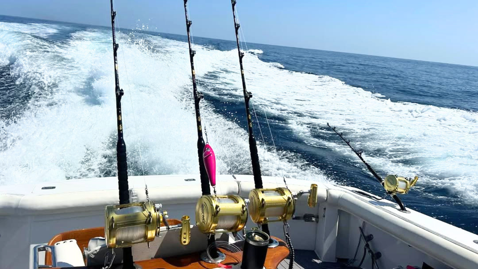 shimano clarus spinning rod 6& 39 holes Okuma SST Carbon Grip Casting Rods (Model):10'6