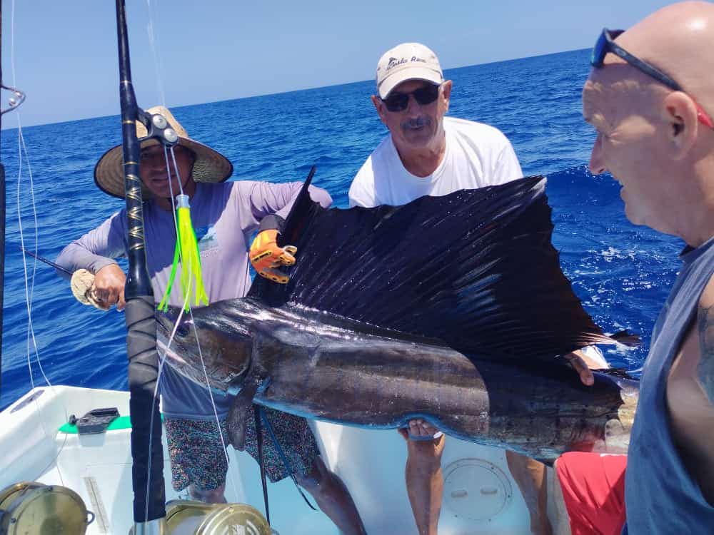 Best Saltwater Fishing Rods for Offshore Success - Shop Now Eat My Tackle Best Saltwater Fishing Rods for Offshore Success - Shop Now Eat My Tackle