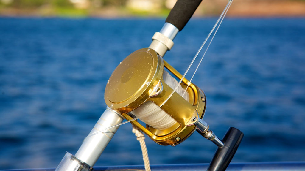 How Our Online Fishing Store Protects Your Deep Sea Fishing Rod