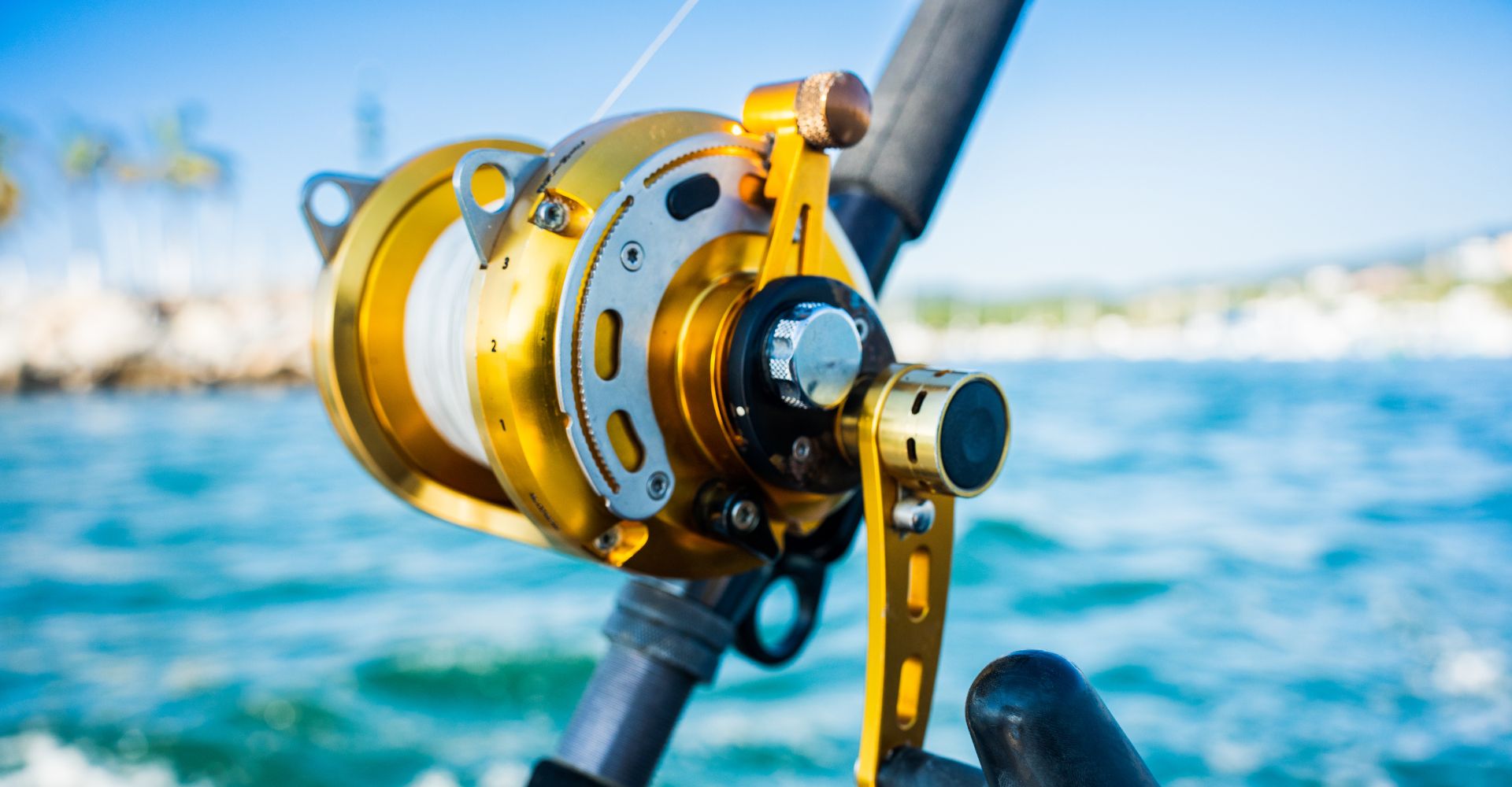 How To Choose the Best Fishing Reel - Learn More! Eat My Tackle How To Choose the Best Fishing Reel - Learn More! Eat My Tackle
