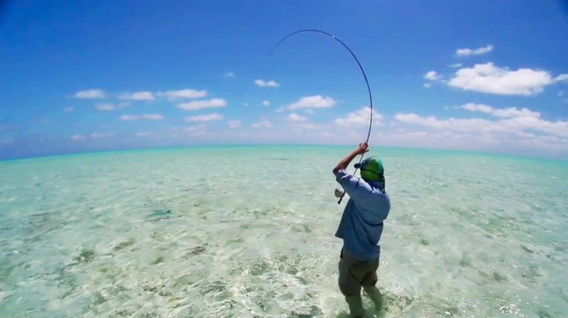 Top 10 Saltwater Fly Rod Fish—and Where to Catch Them