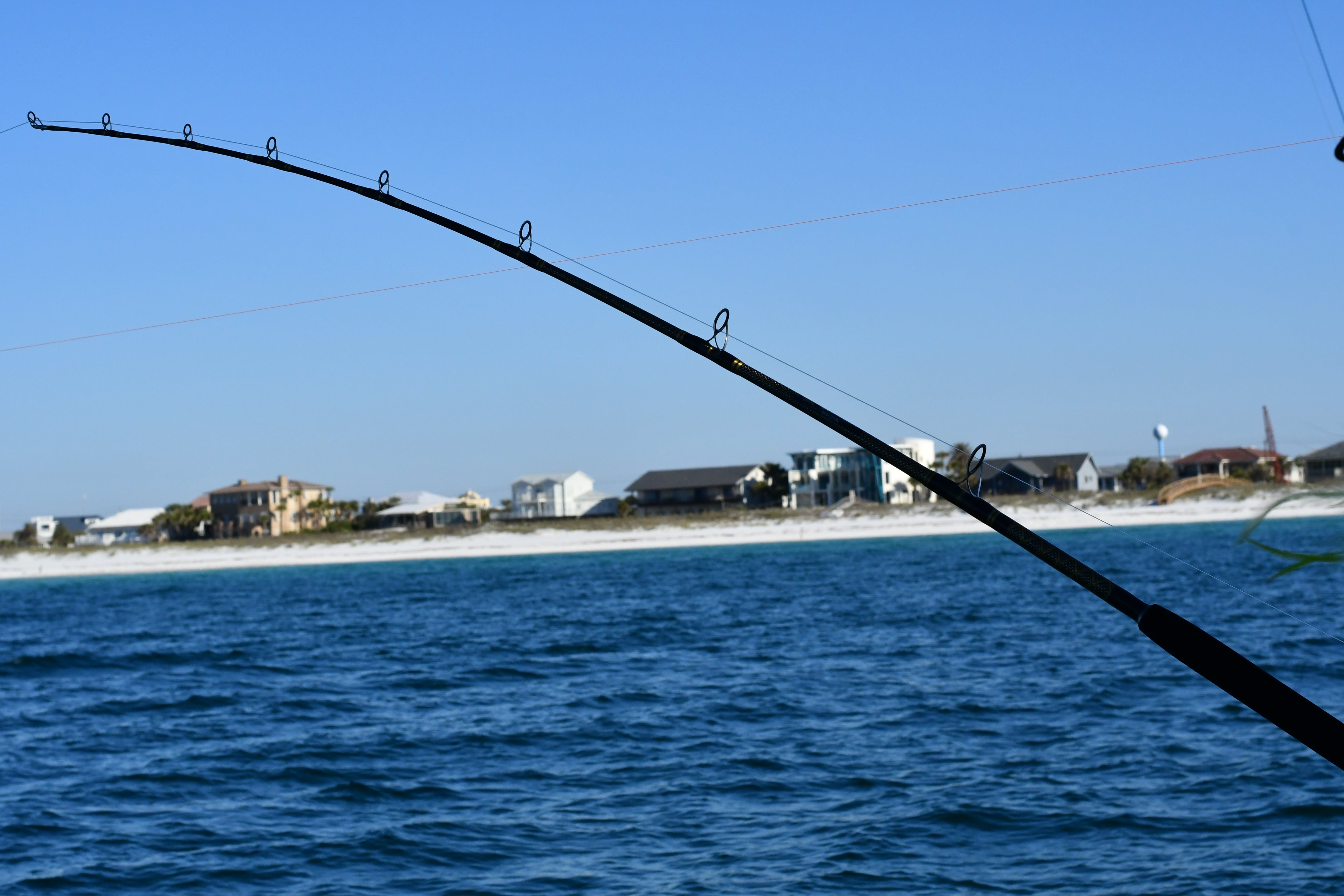 Open Guide Blue Marlin Tournament Edition Rod – Eat My Tackle