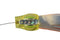 Dolphin Candy Big Eye Trolling Lure - Medium, Mono Rigged, Fishing Lures - Eat My Tackle