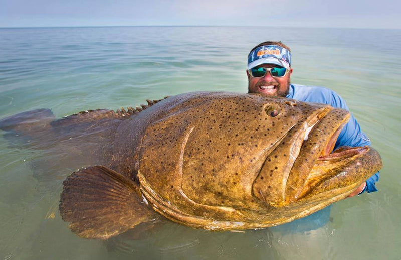 How to Catch Grouper