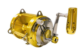 3 Kinds of Fishing Reels & Which One to Buy