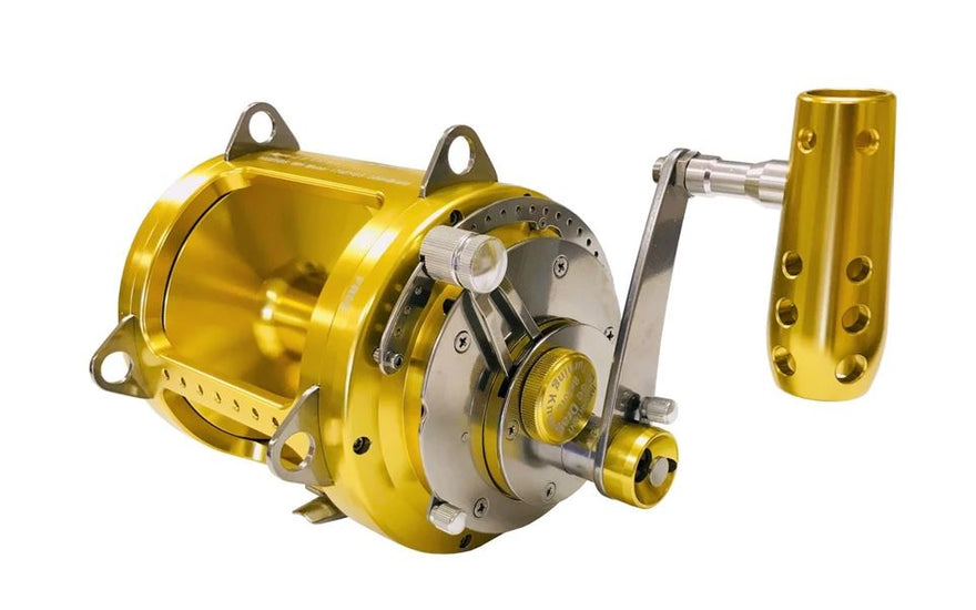 3 Kinds of Fishing Reels & Which One to Buy