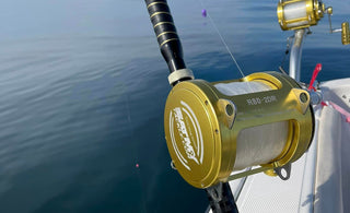 How Our Online Fishing Store Protects Your Deep Sea Fishing Rod Purchase