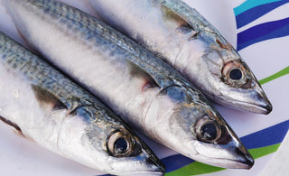 Caught Some Mackerel? Here are Some Delicious Recipes to Try