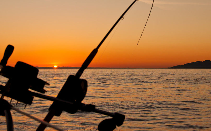 What Makes a Good Saltwater Fishing Rod?