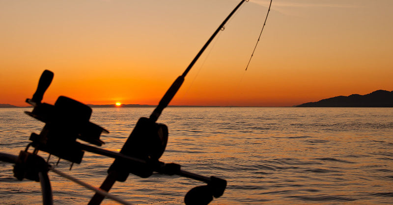 What Makes a Good Saltwater Fishing Rod?