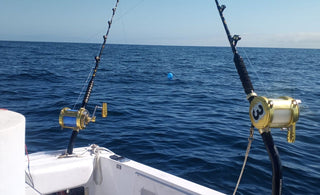 Eat My Tackle's Fishing Gear Essentials