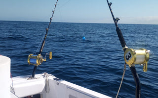 Eat My Tackle's Fishing Gear Essentials