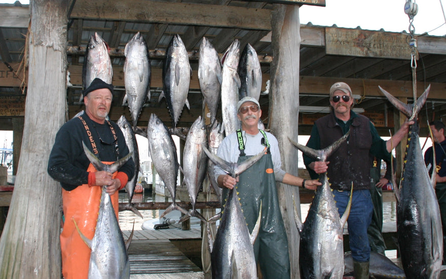 Tuna Town USA: A Guide to Venice Louisiana Big Fish Season