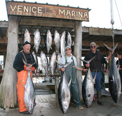 Tuna Town USA: A Guide to Venice Louisiana Big Fish Season