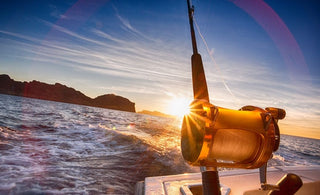 How Do I Pick the Best Saltwater Fishing Rod