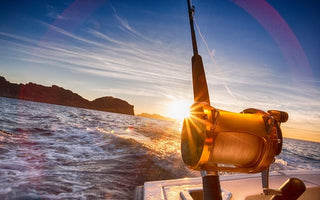 How Do I Pick the Best Saltwater Fishing Rod