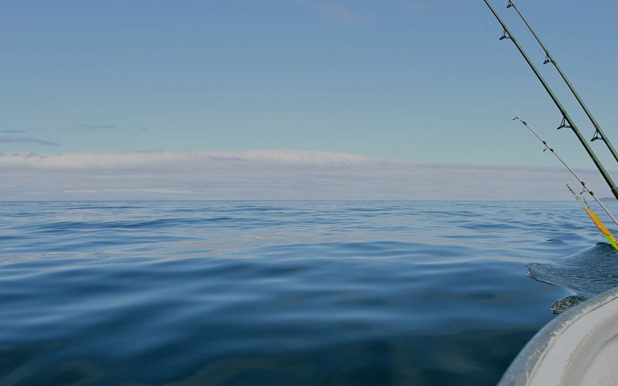 How Eat My Tackle Makes Fishing Easy