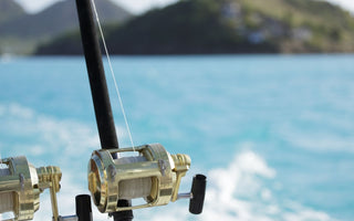Best Lures for Wahoo Eat My Tackle Offers