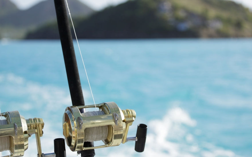 Best Lures for Wahoo Eat My Tackle Offers