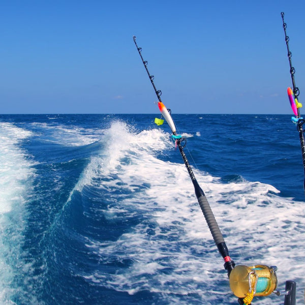 Best Selection Of Saltwater Fishing, Tools, Equipment And Gear – Reef & Reel