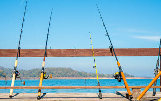 What Makes a Good Saltwater Rod