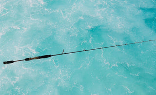 Meet the Snapper Whacker: The Ultimate Jigging Combo for Bottom Fishing