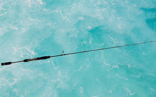 Meet the Snapper Whacker: The Ultimate Jigging Combo for Bottom Fishing