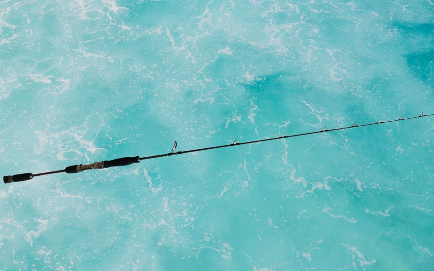 Meet the Snapper Whacker: The Ultimate Jigging Combo for Bottom Fishing