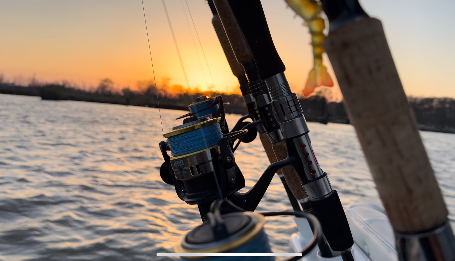 Saltwater Reels, what makes them different? Eat My Tackle Saltwater Reels, what makes them different? Eat My Tackle