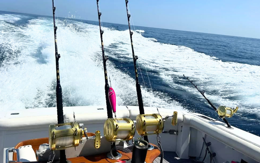 Selecting the Perfect Saltwater Fishing Rod for Your Next Adventure