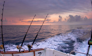 Eat My Tackle's Guide to Setting Your Drag