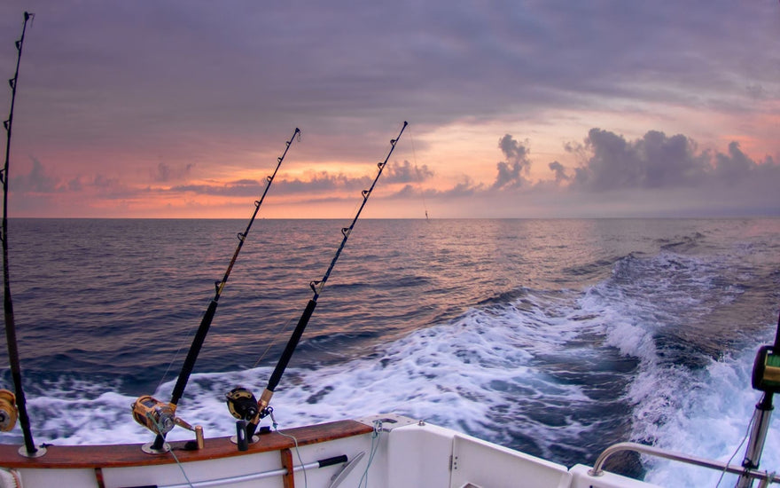 Eat My Tackle's Guide to Setting Your Drag