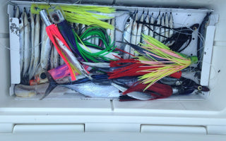 Spring Cleaning Your Tackle Box for Saltwater Success