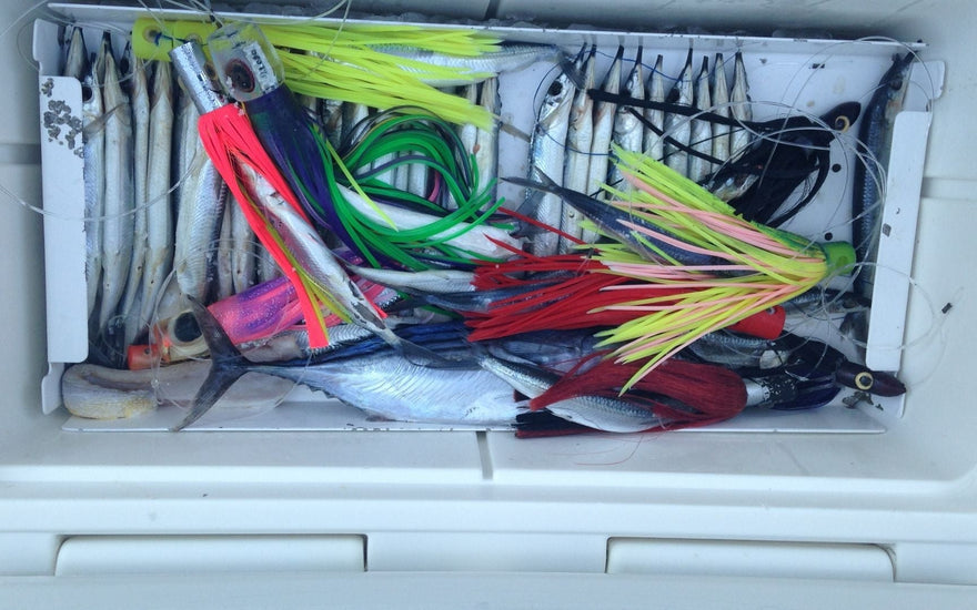 Spring Cleaning Your Tackle Box for Saltwater Success