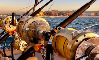 The Best Rod and Reel Combos for Saltwater Fishing
