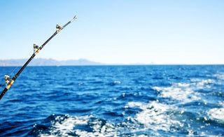 How Saltwater Reels Can Impact Your Fishing Performance