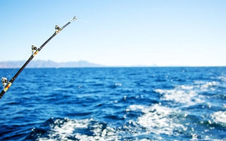 How Saltwater Reels Can Impact Your Fishing Performance