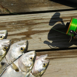 How Eat My Tackle Upgrades Your Deep Sea Fishing Trips