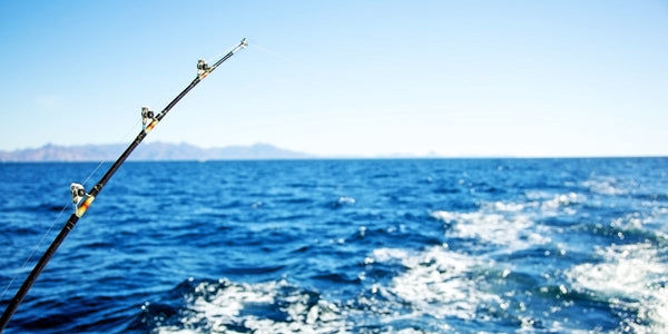 How Saltwater Reels Can Impact Your Fishing Performance