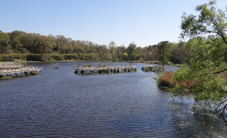 Guide for Saltwater Fishing in Louisiana