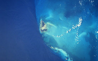 Saltwater Fishing at the Bimini Reefs – There’s Nothing Quite Like It