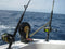 A Simple Guide on Offshore Fishing Gear