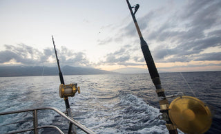 Saltwater Rods & Reel Combos