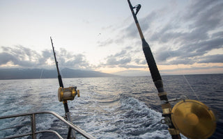 Saltwater Rods & Reel Combos