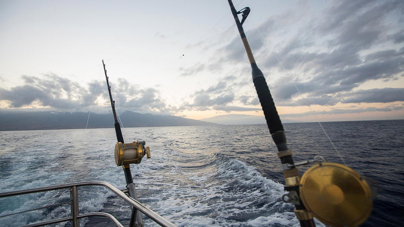 Inshore Fishing vs Offshore Fishing - Destin, FL - Best Rod & Reel Combo