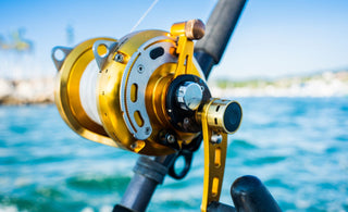 best fishing reel for deep sea Topline 30Kg Max Drag 12+1BB Heavy Duty Spinning All M Deep Sea Fishing Reels Best