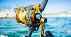 How To Choose the Best Fishing Reel for Your Next Adventure