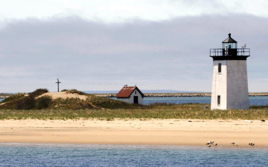 Massachusetts Saltwater Fish Spotters Guide