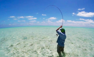 Top 10 Saltwater Fly Rod Fish—and Where to Catch Them