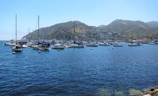 Santa Catalina Fishing